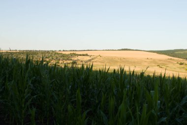 Doğanın güzel manzarası