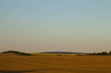Ağacı ve mavi gökyüzü olan güzel bir manzara.