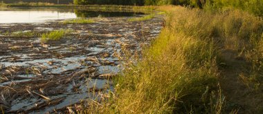 Nehrin ve suyun arka planındaki göl..