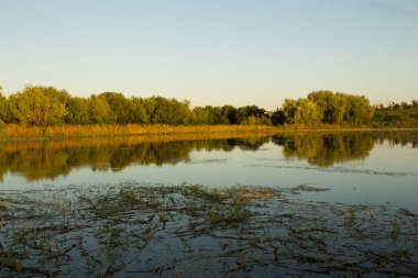 Akşamları ağaçlar ve nehirlerle dolu sonbahar manzarası.