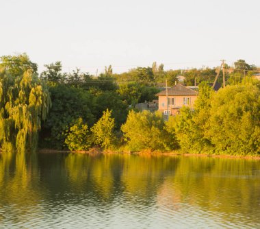 Ormanın arka planında güzel bir göl ve bir ağaç. Doğadaki turizm kavramı. seyahat, doğa, dinlenme, dinlenme.