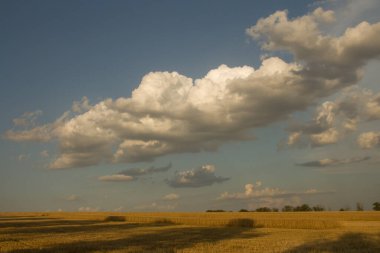 Büyük beyaz bulutlu bir alan.