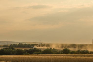 Gün batımının arka planında buğday tarlası ve buğday. hasat ve tarım kavramı.