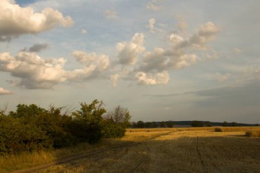 Tarlanın üzerinde güzel bir gün batımı