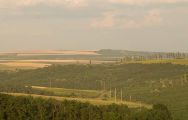 Kırsal kesimdeki tarımsal alanlara bakış.
