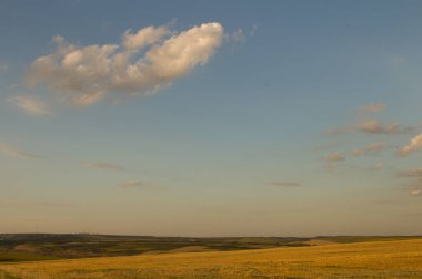 Yeşil tarlalı manzara ve gün batımında mavi gökyüzü.