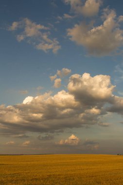 Bulutlu güzel gün batımı