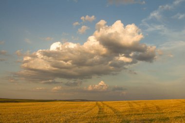 Tarlada güzel bir gün batımı