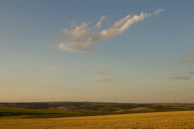 Kırsal kesimde güzel bir buğday tarlası manzarası