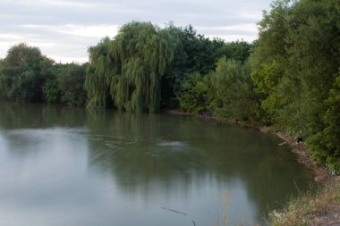 Yazın yeşil çimlerle dolu nehir..