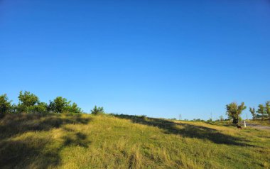Yazın çayır manzarası. çayır ve çimen.
