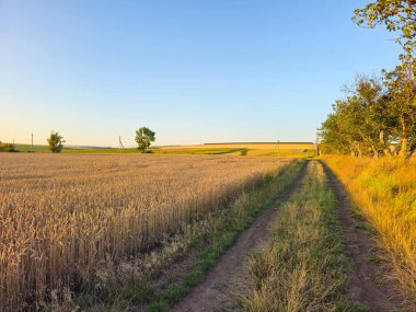 Kırsalda bir yolu olan güzel bir kırsal alan..