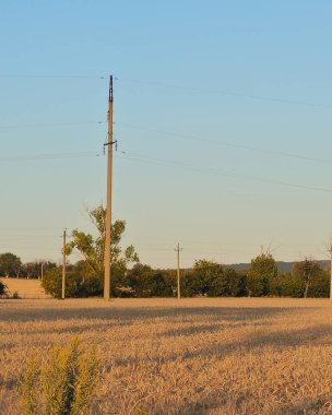 Gökyüzü ve buğday tarlası olan yüksek voltajlı bir kule.