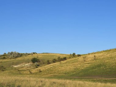 Çimen ve mavi gökyüzü olan güzel yaz manzarası