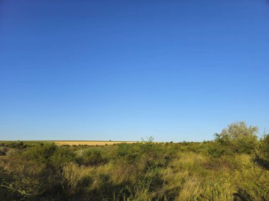 Güzel bir manzara Ağacı ve mavi gökyüzü