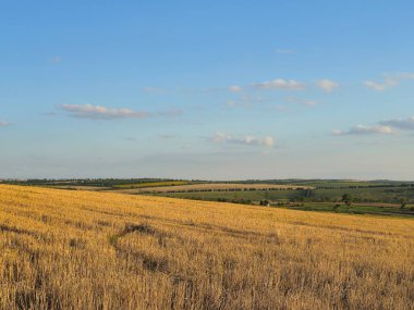 Buğday alan yaz aylarında gün batımında.
