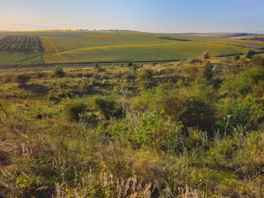 Arka planda bir nehir olan güzel bir manzara.