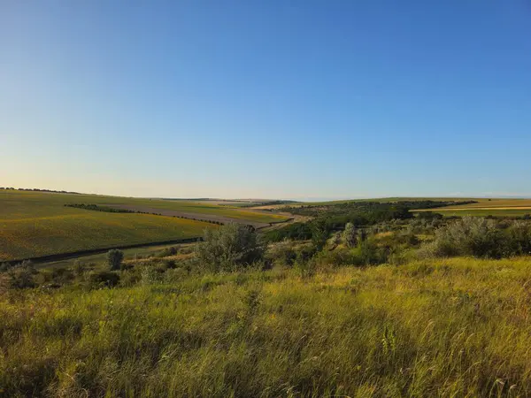 Güzel bir manzara Ağacı ve mavi gökyüzü