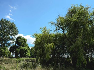 Parkın güzel manzarası