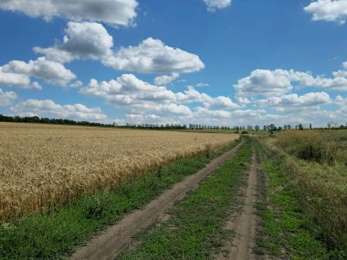 Buğdaylı kırsal alan