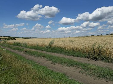 Kırsal alan, tarım doğası