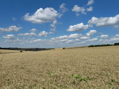bir yaz günü manzara