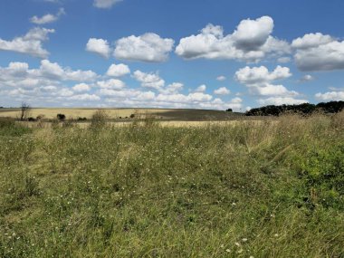 Yeşil çimen ve mavi gökyüzü olan güzel bir manzara.