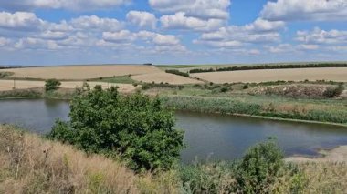 Gökyüzünün altında ağaçlarla çevrili bir alanın dikey görüntüsü.