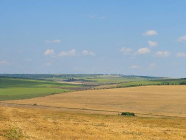 Ağaçlarla ve mavi gökyüzüyle güzel bir manzara.