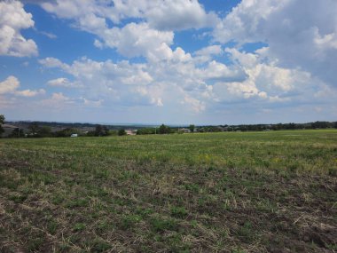 yeşil tarla ve mavi gökyüzü