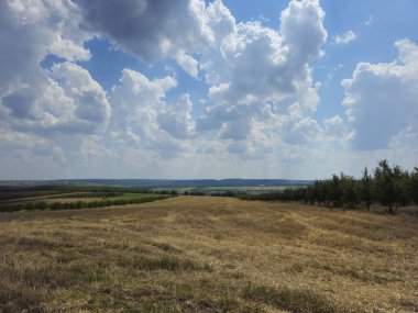 Yeşil çimen ve mavi gökyüzü olan güzel bir manzara.