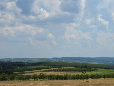 Arkasında yeşil çimenler ve ağaçlar olan manzara