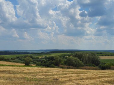 Buğday tarlası ve bulutlu gökyüzü olan güzel bir manzara.
