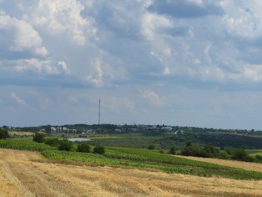 Buğday tarlası ve bulutlu güzel kırsal alan