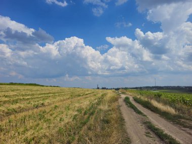 Bulutlu mavi gökyüzü ve buğday tarlası olan güzel bir manzara..
