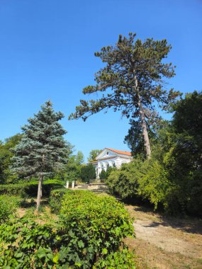 Yazın şehir parkı manzarası