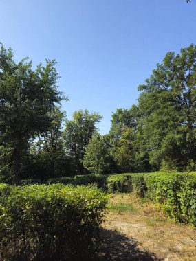 Doğanın güzel manzarası