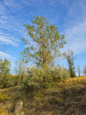 Doğanın güzel manzarası