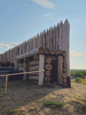 Ormanın arka planındaki ahşap ev.