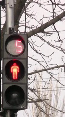 Yoldaki bir trafik ışığının dikey videosu