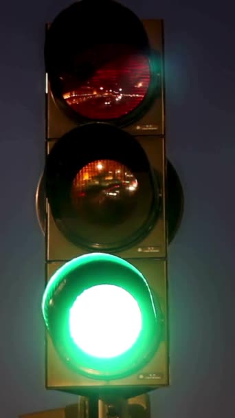 Vertical Video Traffic Light Road — Stock Video