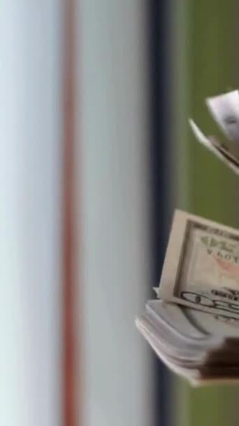 Dollarpengar Konkurs Man Livsstil Räkna Pengar Kontanter Affärskvinna Räknar Kontanter — Stockvideo