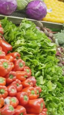 Balanced diet food background. Organic food for healthy nutrition, superfoods, cabbage, red pepper, nuts, seeds and greens. Healthy Diet Food Concept. Keto diet.