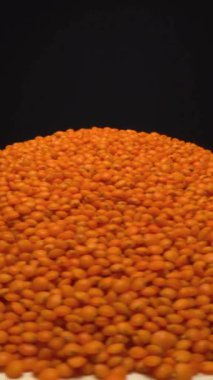 Kırmızı mercimek. Vejetaryen sağlıklı yiyecekler. Organik gıda kırmızı mercimek tahıl dönüşümünü sağlar. Diyet yemek. Kırmızı mercimek yığını hareketli çekim. Mercimek dokusu arkaplanı.