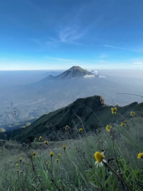 インドネシアの島の谷の美しい風景 コピー権利はありません — ストック動画