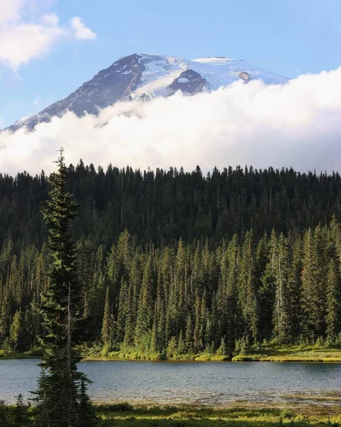 Schoonheid Van Mount Rainier Ligt Niet Alleen Besneeuwde Toppen Maar — Stockfoto