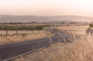 Güney İspanya 'da gün batımında bir köy yolu