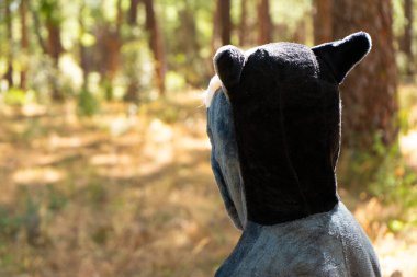 Arkadan görülen ormanda Lemur kılığına girmiş bir çocuk başı.