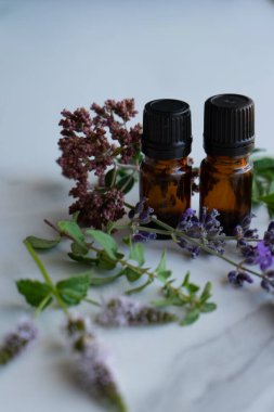 Aromatik bitkilerle dolu gerekli yağlar.