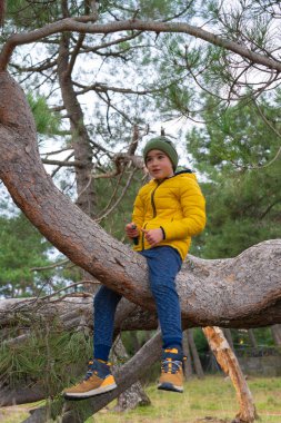 Sarı bir palto giymiş ağaç dalında oturan bir çocuk.